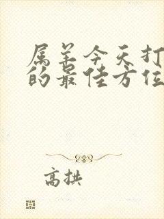 属羊今天打麻将的最佳方位