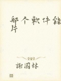 哪个软件能看黄片