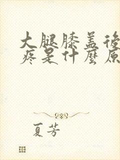 大腿膝盖后面筋疼是什么原因封面