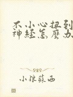 不小心扭到坐骨神经怎么办封面