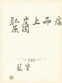 肚皮上面痛什么原因