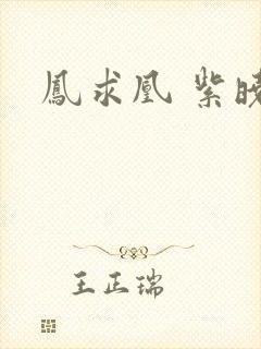 凤求凰 紫晓