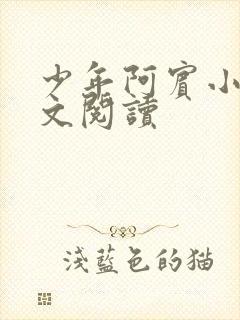 少年阿宾小说全文阅读