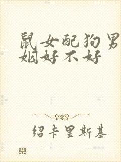 鼠女配狗男的婚姻好不好