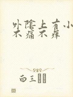 外阴上有小肉粒不痛不痒