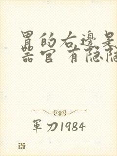 胃的右边是什么器官 有隐隐的疼