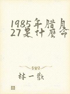 1985年腊月27是什么命封面