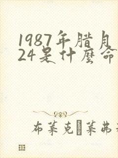1987年腊月24是什么命
