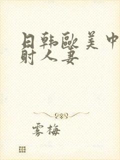 日韩欧美中文内射人妻