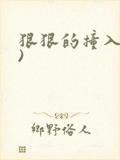 狠狠的撞入(h)