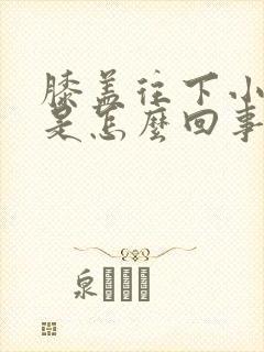 膝盖往下小腿凉是怎么回事