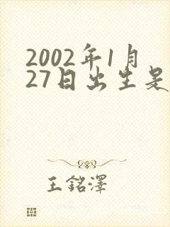 2002年1月27日出生是什么命