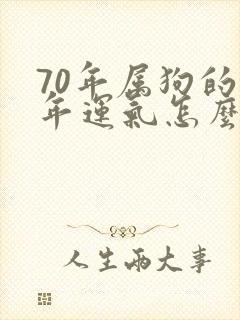 70年属狗的今年运气怎么样封面