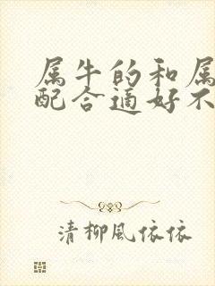 属牛的和属兔婚配合适好不好