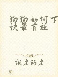 狗狗如何下奶最快最有效