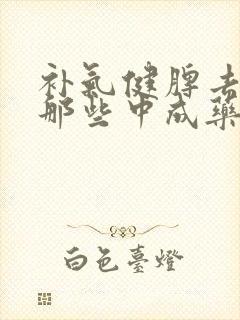 补气健脾去湿有那些中成药
