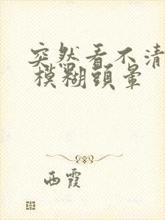 突然看不清东西 模糊头晕