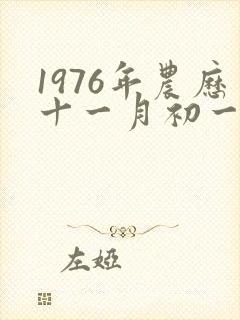 1976年农历十一月初一出生女命如何