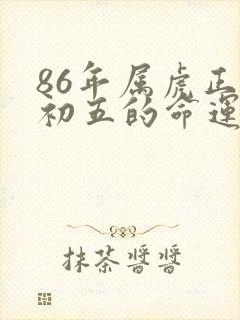 86年属虎正月初五的命运封面