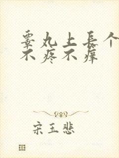 睾丸上长个肉粒不疼不痒