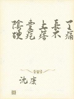 阴囊上长了一个硬疙瘩不痛不痒