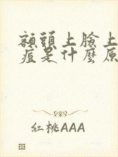 额头上脸上长痘痘是什么原因