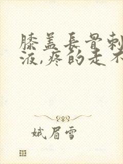 膝盖长骨刺和积液,疼的走不动怎么治?