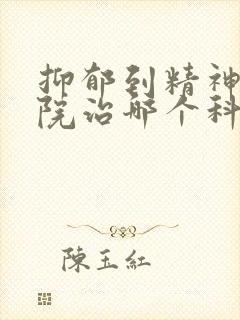 抑郁到精神科医院治哪个科