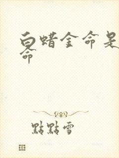 白蜡金命是几等命封面