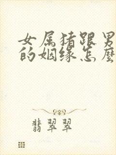 女属猪跟男属猴的姻缘怎么样