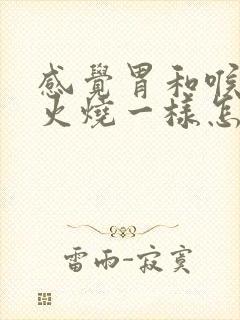 感觉胃和喉咙像火烧一样怎么回事