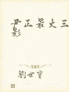 尹正最火三部电影