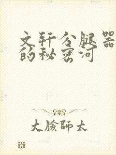 文轩分腿器河马的秘密河