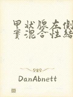 甲状腺左侧叶囊实混合性结节3类