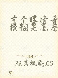有个眼睛看东西模糊是怎么回事