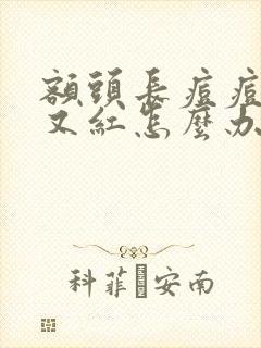 额头长痘痘又痛又红怎么办