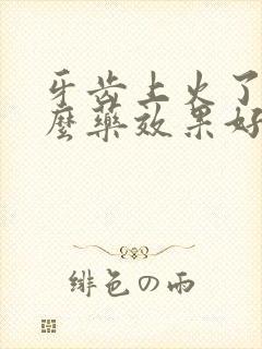 牙齿上火了吃什么药效果好