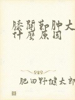 膝关节肿大疼痛什么原因