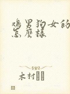 鸡男狗女的婚姻怎么样