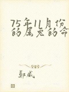 75年11月份的属兔的命运