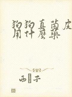狗狗真菌皮肤病用什么药