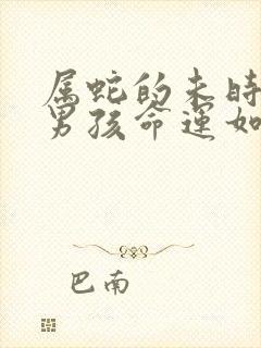 属蛇的未时出生男孩命运如何