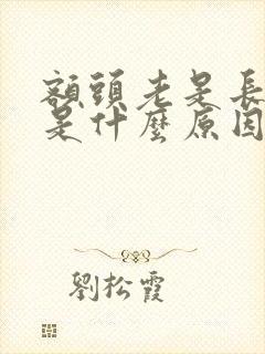 额头老是长痘痘是什么原因啊