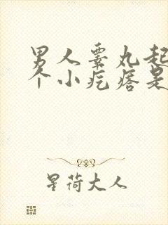 男人睾丸起了一个小疙瘩是怎么回事封面