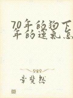 70年的狗下半年的运气怎么样