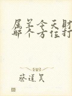 属羊今天财神在哪个方位打牌
