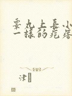 睾丸上长小豆豆一样的疙瘩