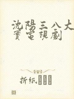 沈阳三八大案纪实电视剧