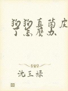 狗狗真菌皮肤病了怎么办