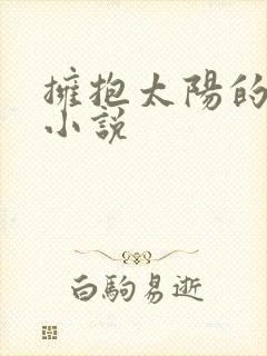 拥抱太阳的月亮小说